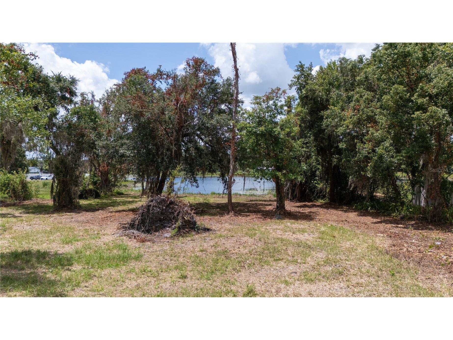 0 State Road 52 Land O Lakes FL 34638 - LAKE PIERCE TB8523945 image5