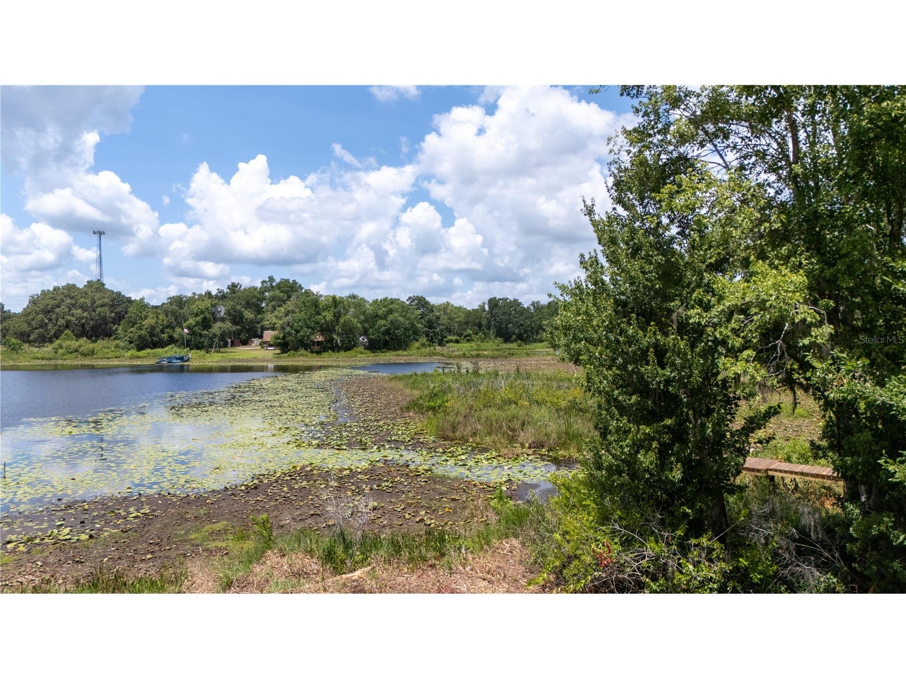 0 State Road 52 Land O Lakes FL 34638 - LAKE PIERCE TB8523945 image9