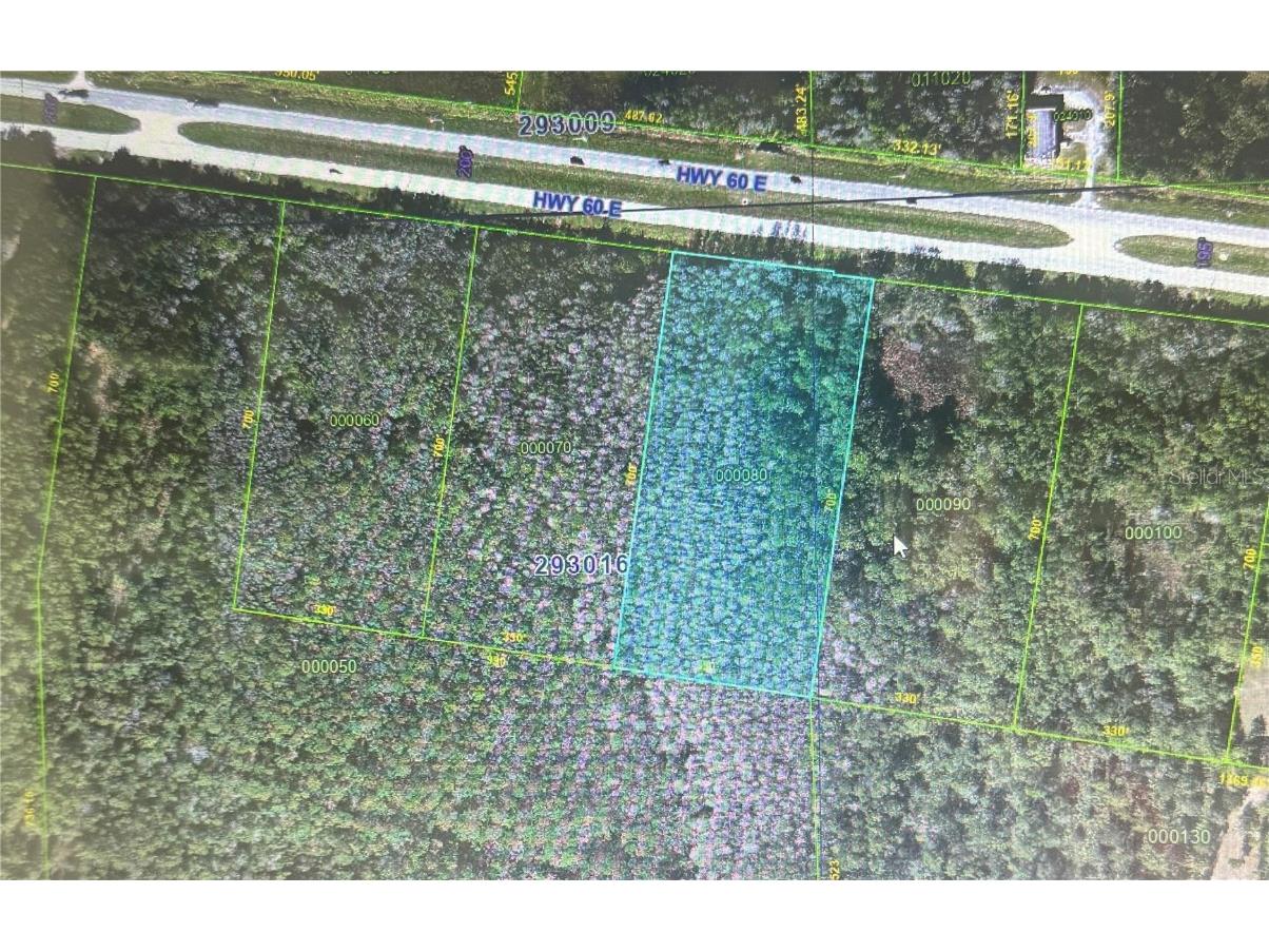 0 State Road 60 E Lot 8 Lake Wales FL 33898 P4935428 image1