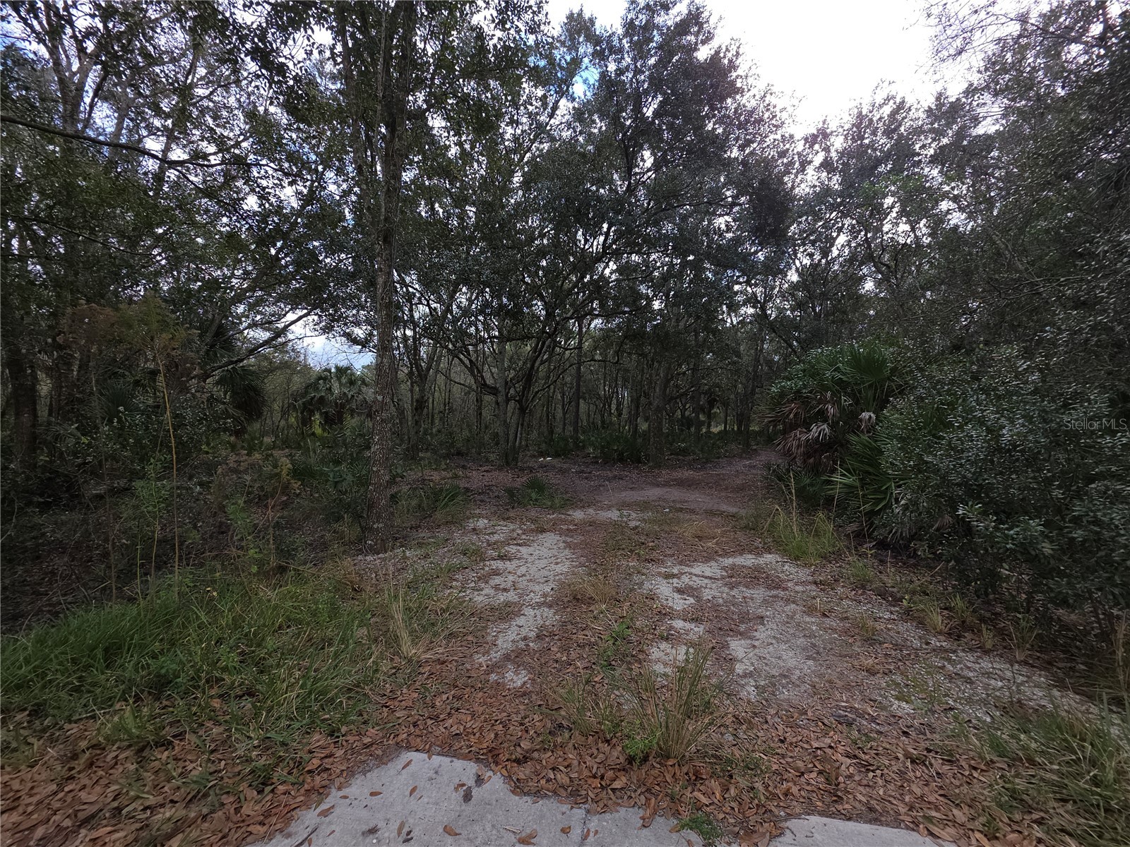 0 State Road 60 E Lake Wales FL 33898 P4937405 image3