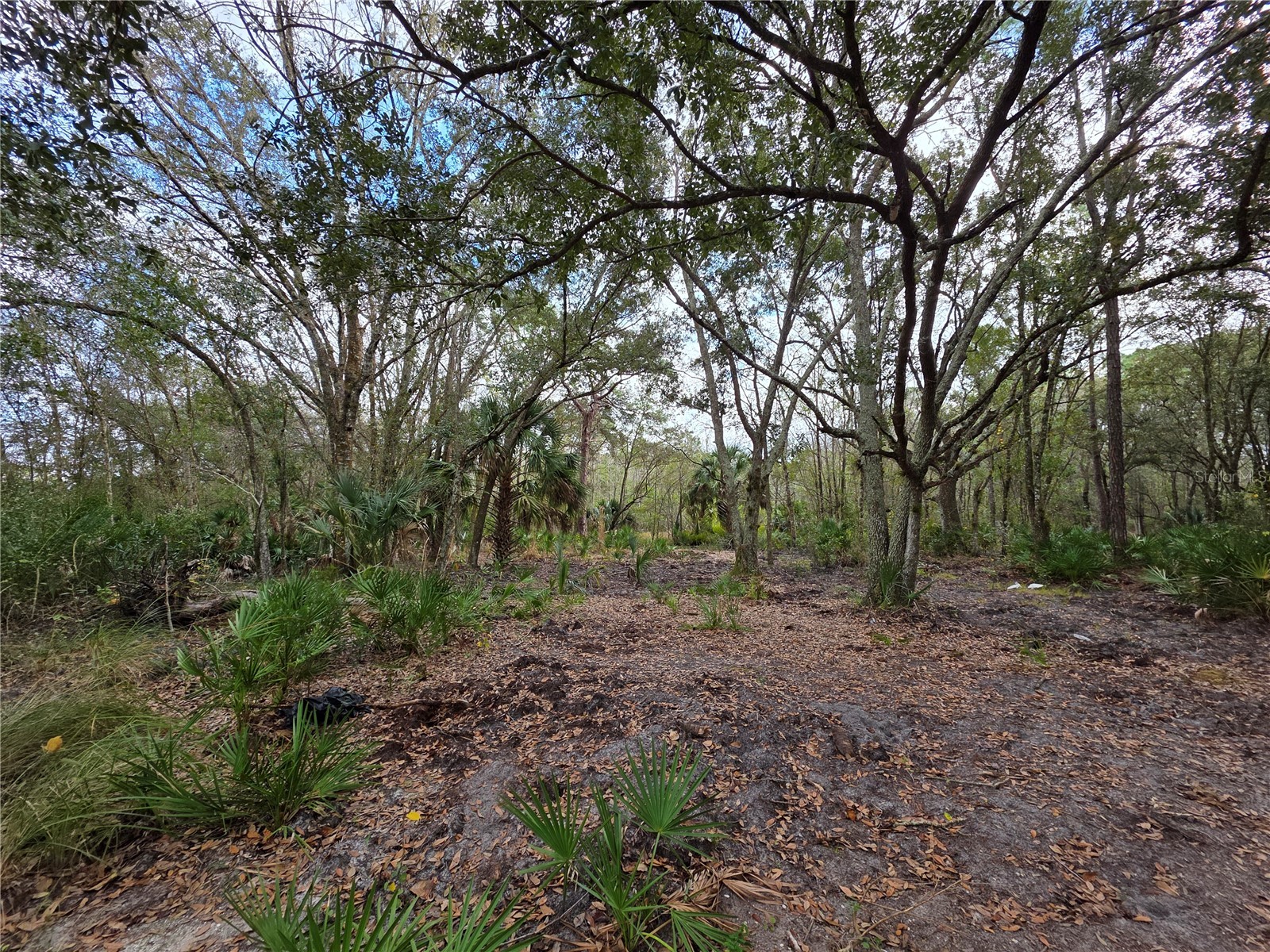 0 State Road 60 E Lake Wales FL 33898 P4937405 image4