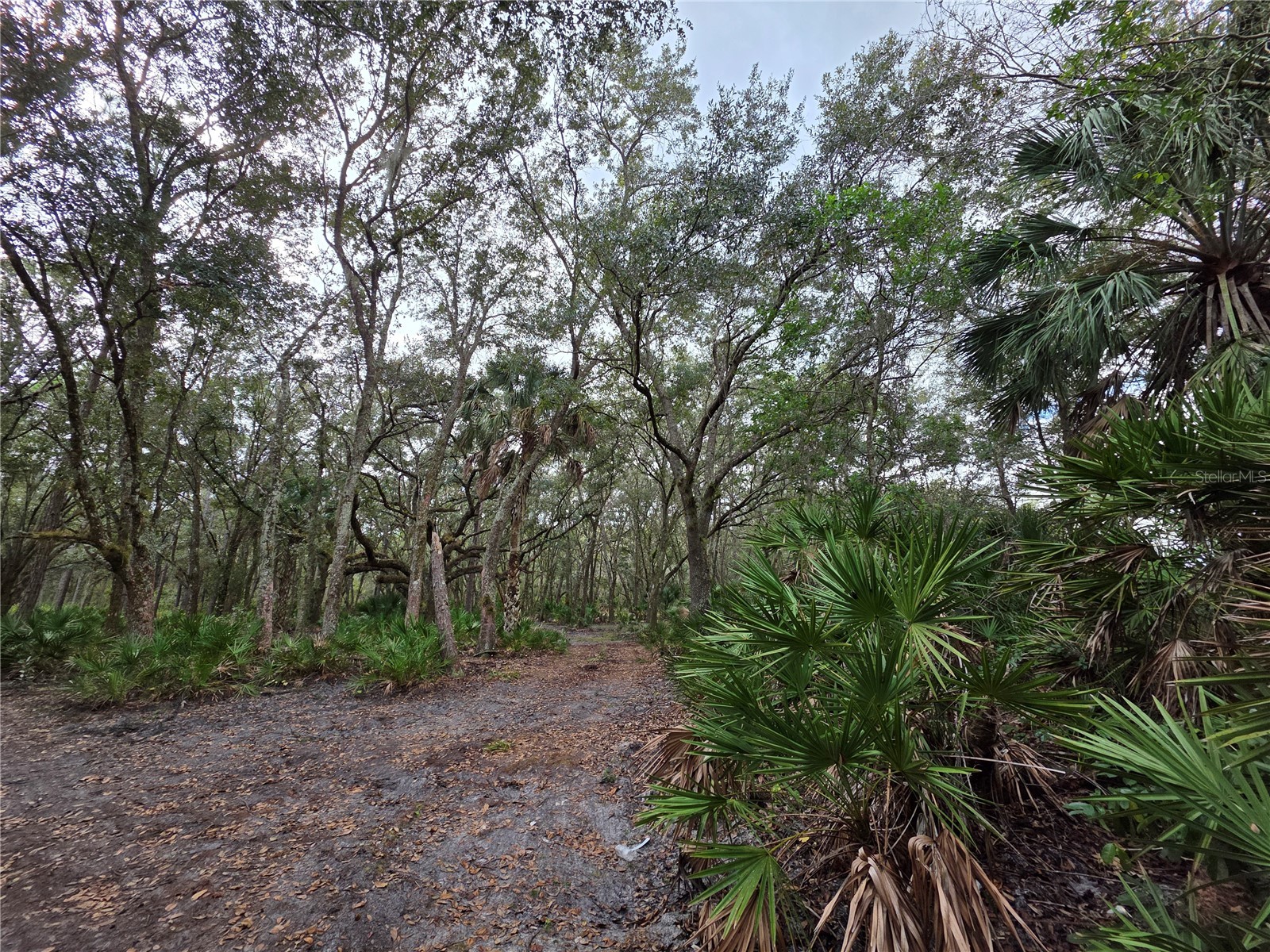 0 State Road 60 E Lake Wales FL 33898 P4937405 image5