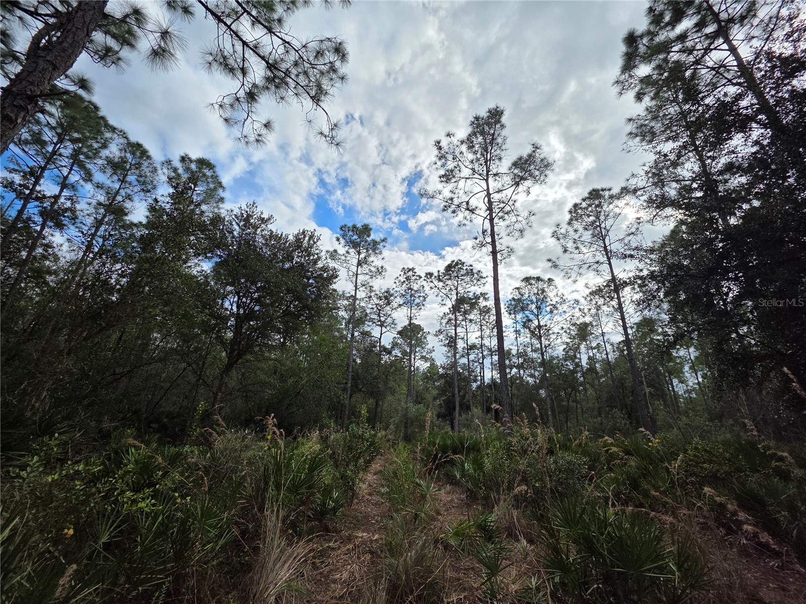 0 State Road 60 E Lake Wales FL 33898 P4937405 image6