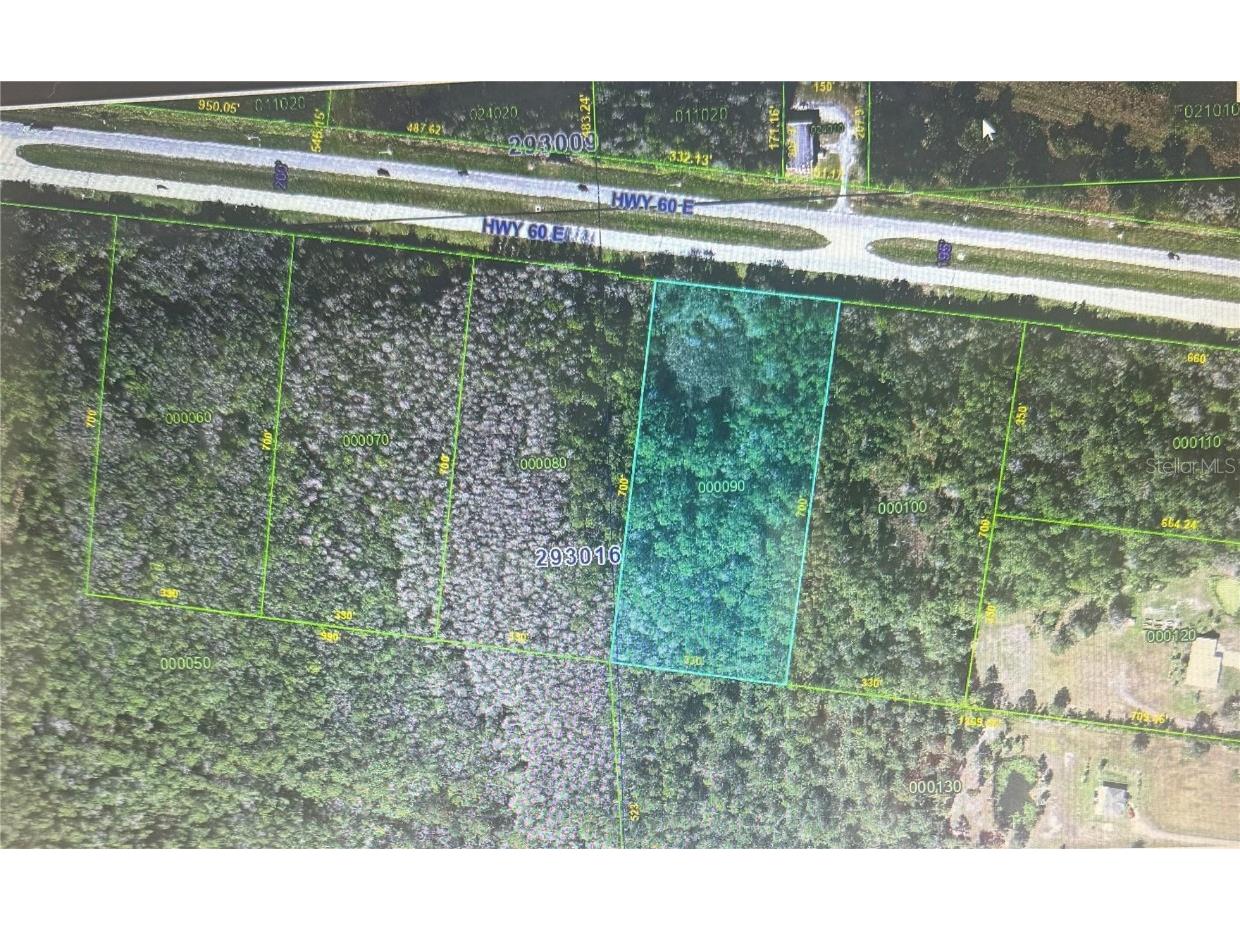 0 State Road 60 E Lot 9 Road N Lake Wales FL 33898 P4935427 image1