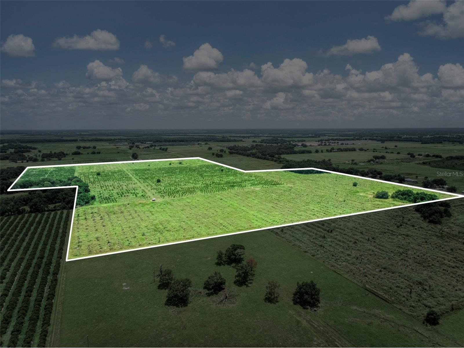 0 Stephens Road Wauchula FL 33873 P4939248 image1