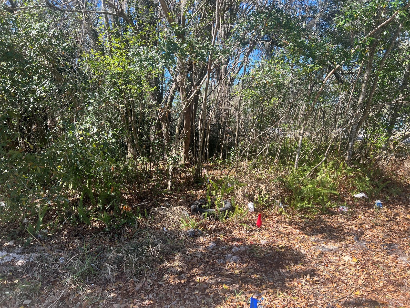 0 Stinson Street Leesburg FL 34748 G5108786 image1