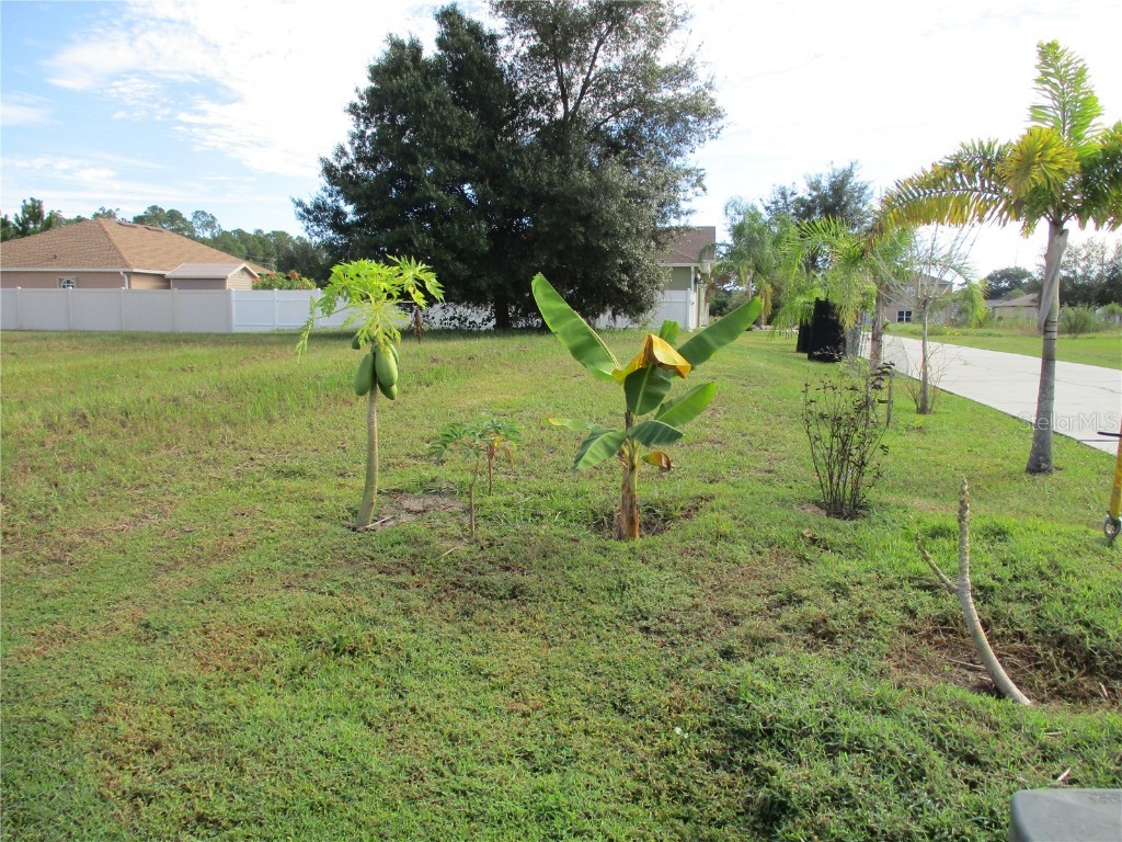 0 Stockport Drive Kissimmee FL 34758 S5058417 image1