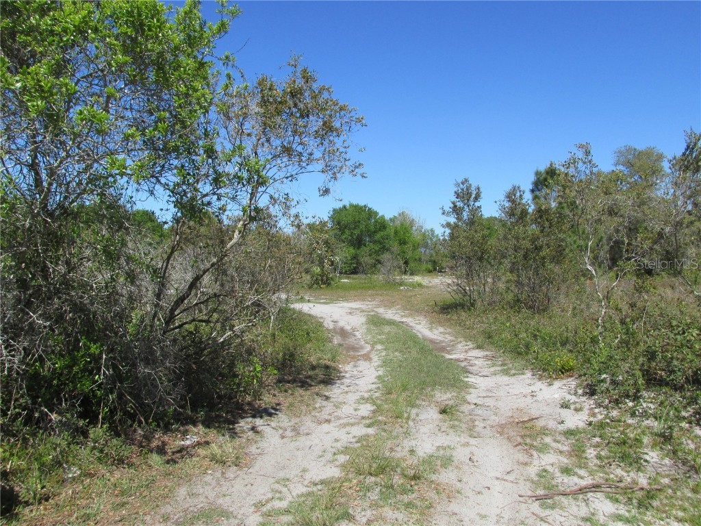 0 Sugarfoot Avenue Lake Wales FL 33859 K4902099 image1