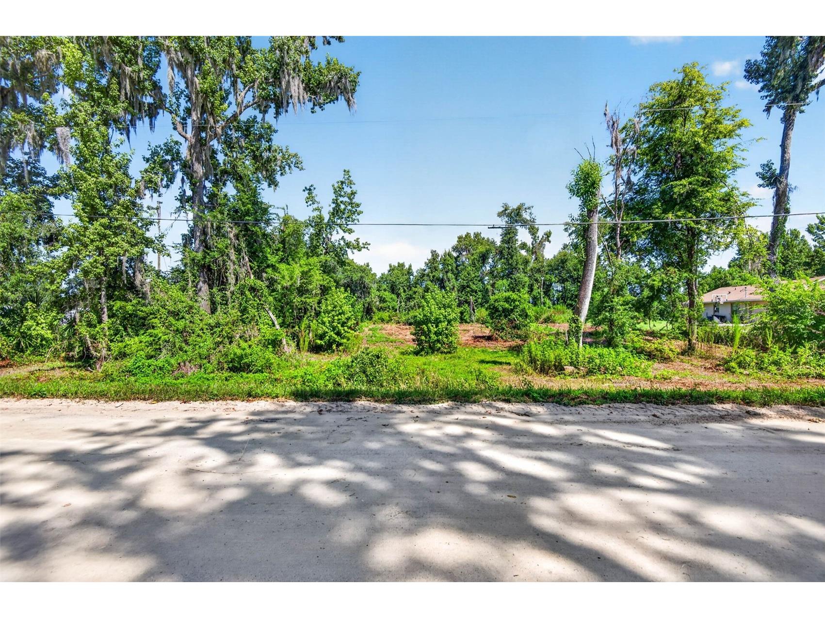 0 Sumner Lake Road Dade City FL 33525 TB8528840 image1