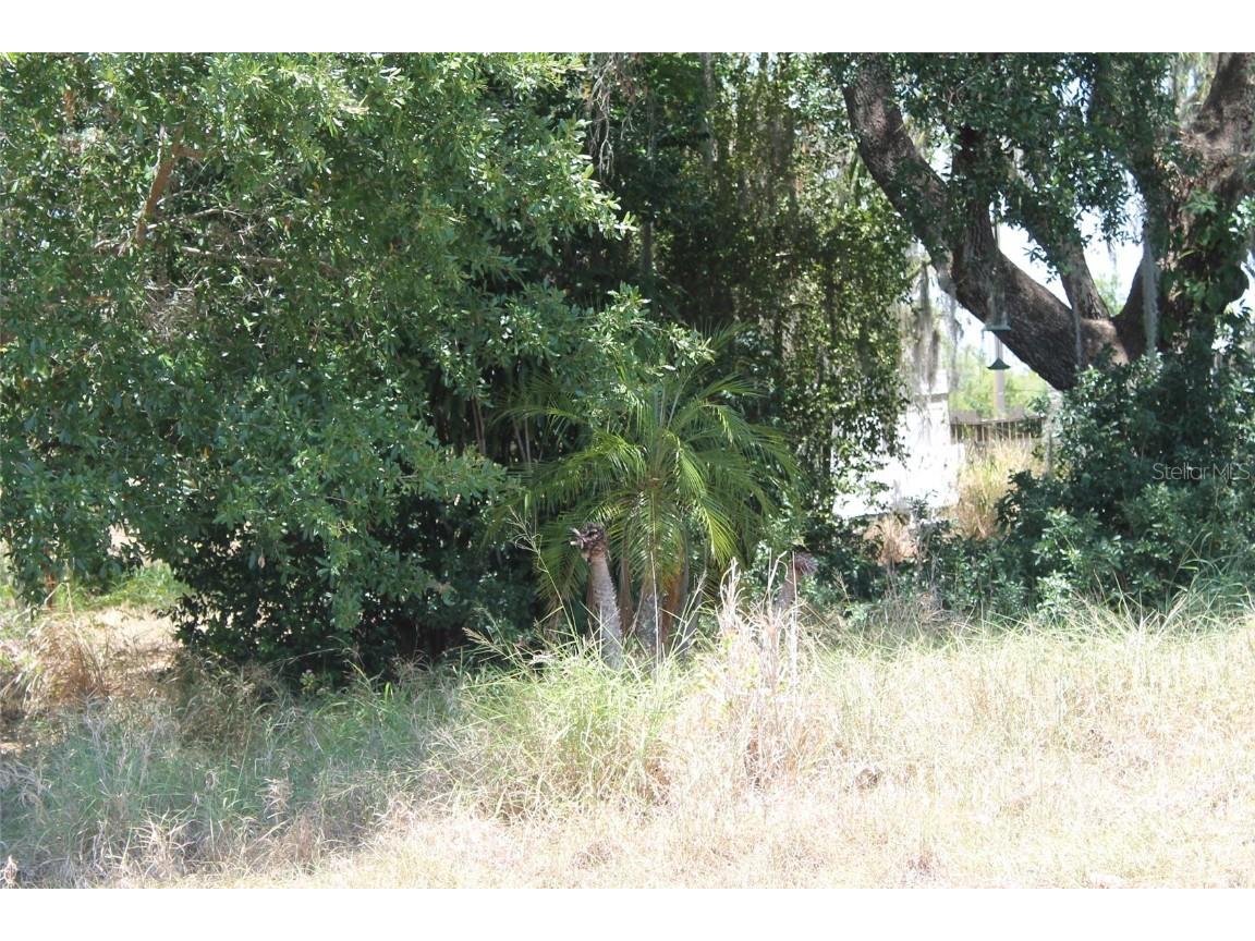 0 Sunset Trail Babson Park FL 33827 - Crooked Lake P4930492 image2