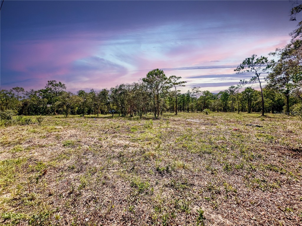 0 Sunshine Grove Road Brooksville FL 34613 TB8420256 image10