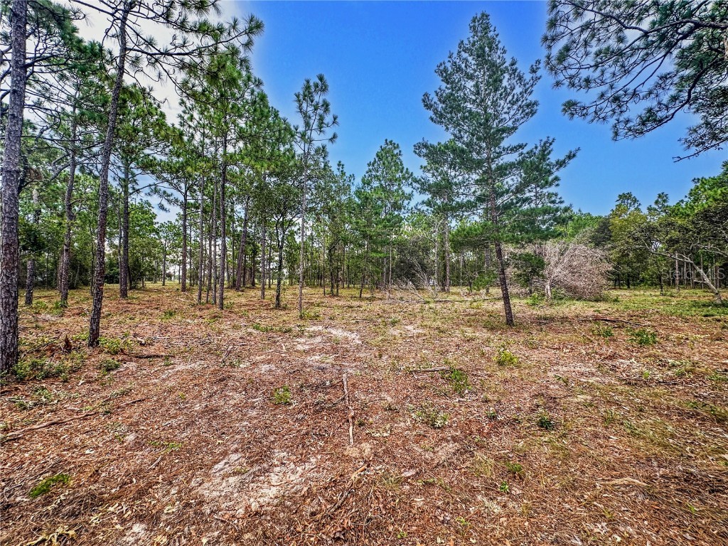 0 Sunshine Grove Road Brooksville FL 34613 TB8420256 image11