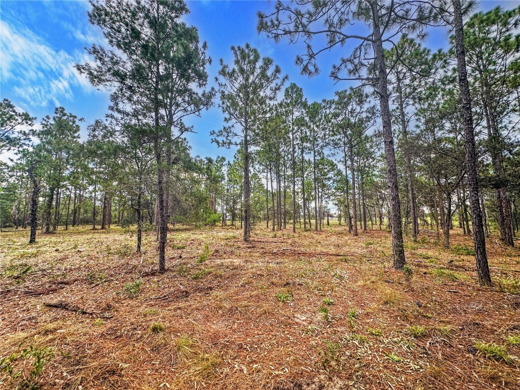 0 Sunshine Grove Road Brooksville FL 34613 TB8420256 image12