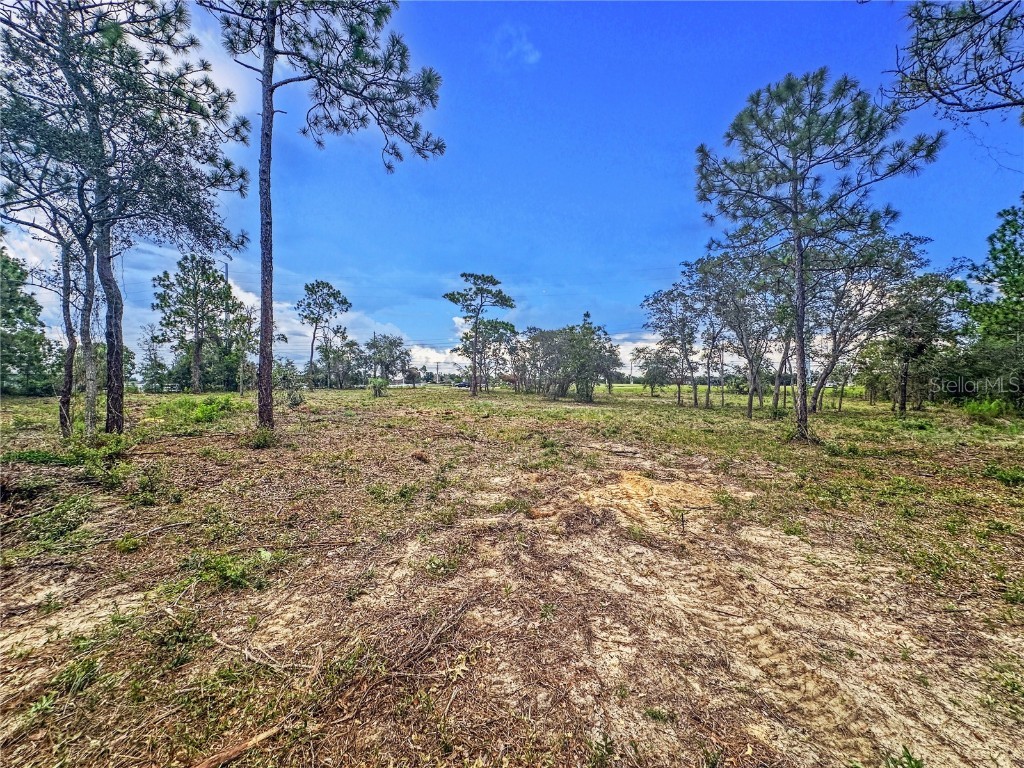 0 Sunshine Grove Road Brooksville FL 34613 TB8420256 image13