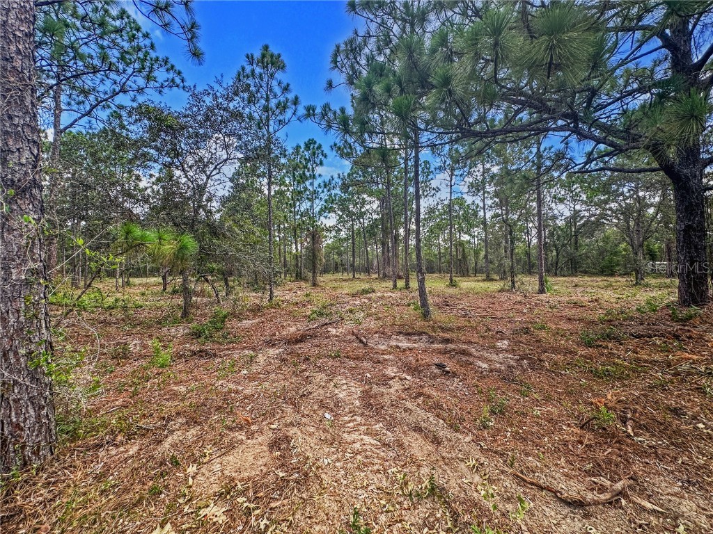 0 Sunshine Grove Road Brooksville FL 34613 TB8420256 image14
