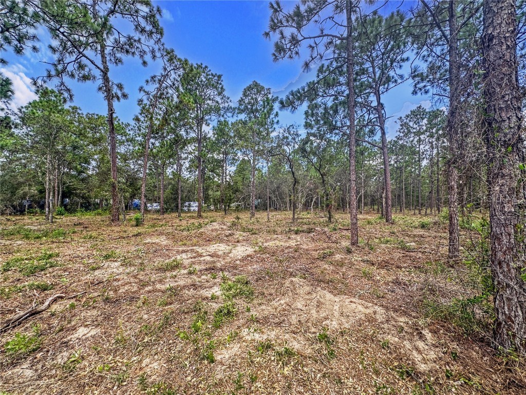 0 Sunshine Grove Road Brooksville FL 34613 TB8420256 image15