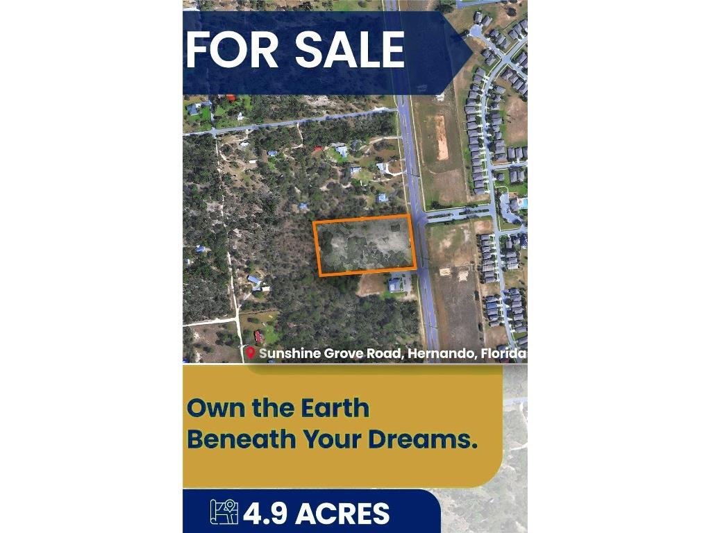 0 Sunshine Grove Road Brooksville FL 34613 TB8420256 image4