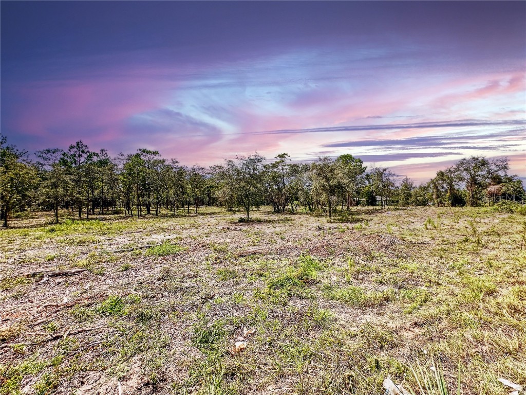 0 Sunshine Grove Road Brooksville FL 34613 TB8420256 image8