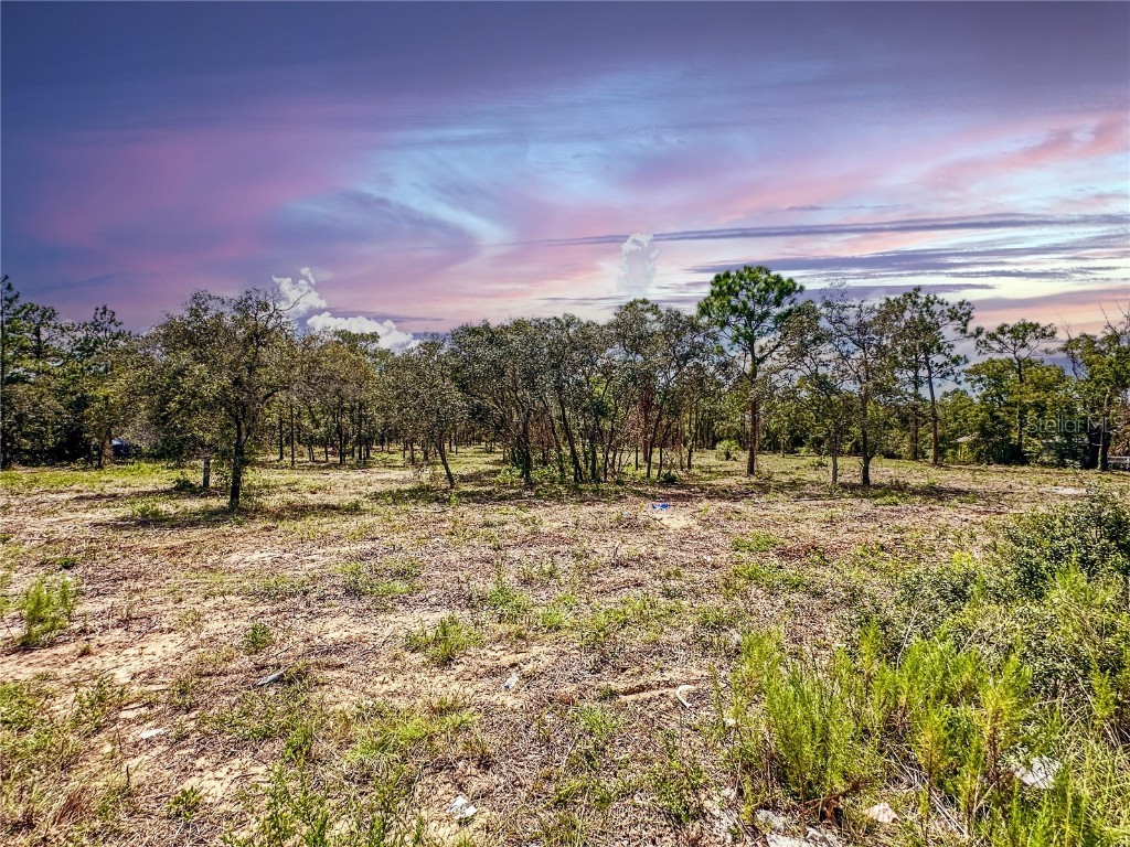 0 Sunshine Grove Road Brooksville FL 34613 TB8420256 image9