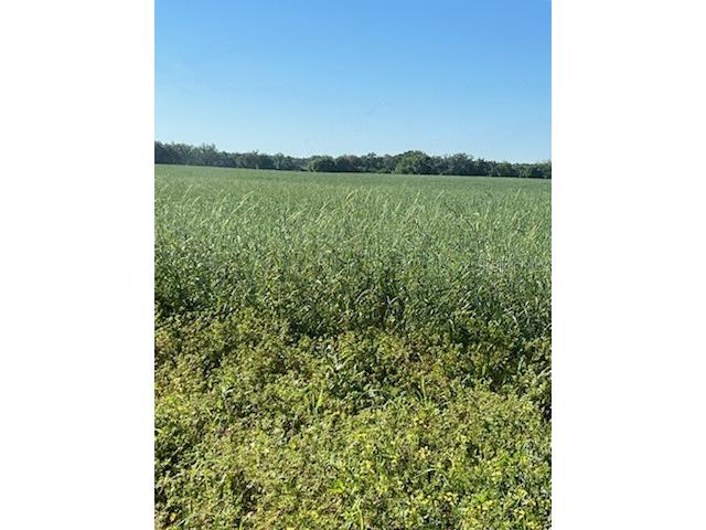 0 SW 10 Street Bell FL 32619 GC520940 image1