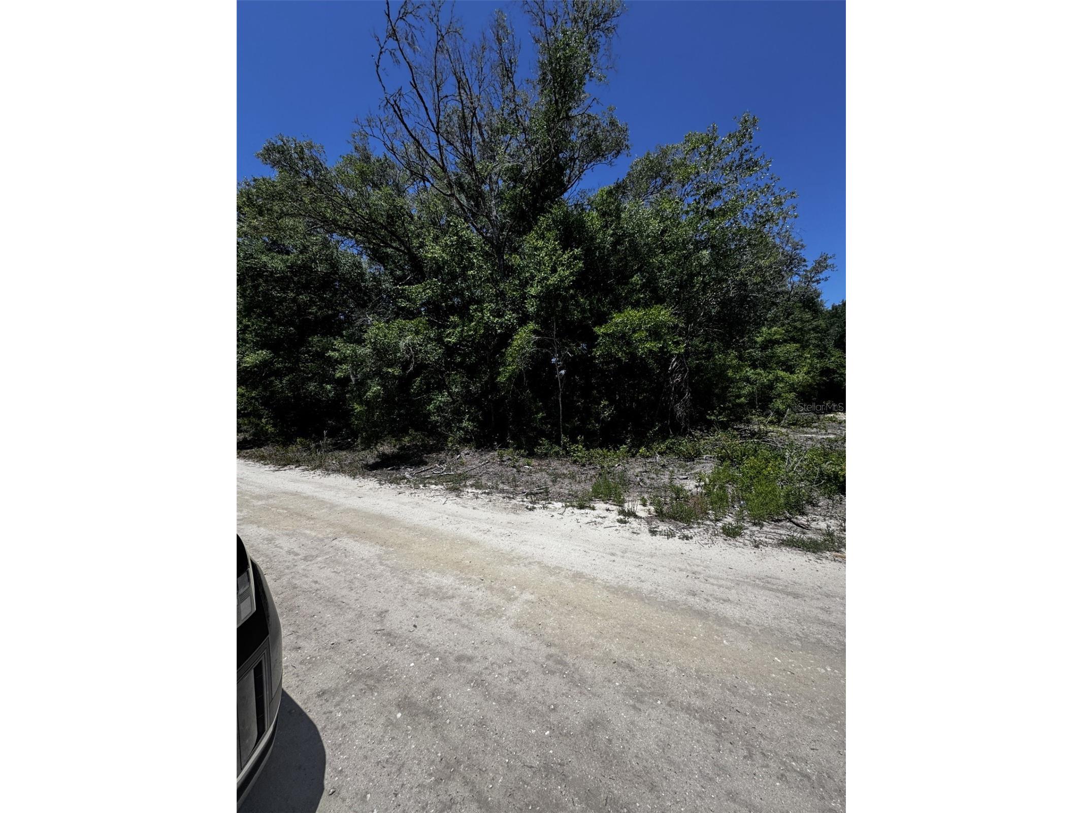 0 SW 104th Lane Dunnellon FL 34432 OM724374 image1