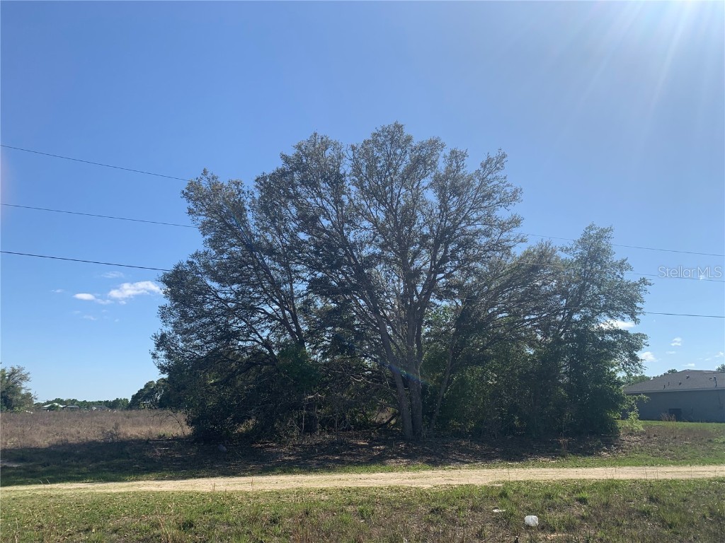 0 SW 104th Street Dunnellon FL 34432 OM699132 image1