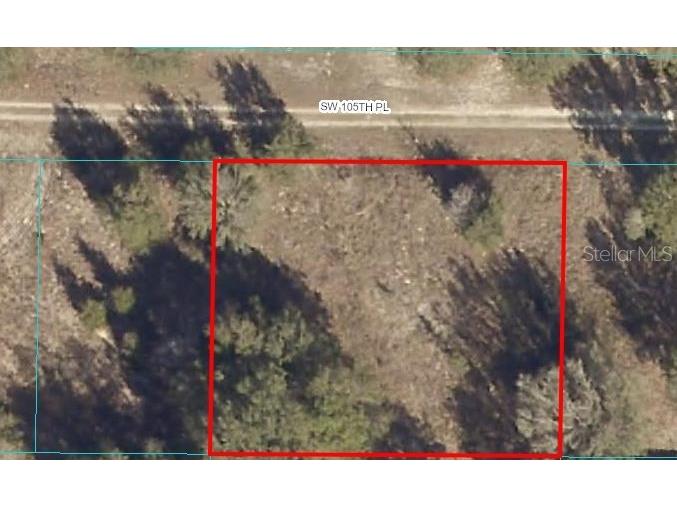 0 SW 105th Place Dunnellon FL 34432 OM658902 image1