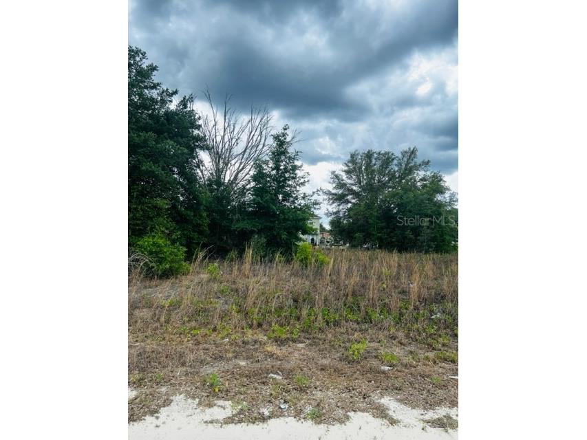 0 SW 106th Street Lot 6 Dunnellon FL 34432 OM656904 image1