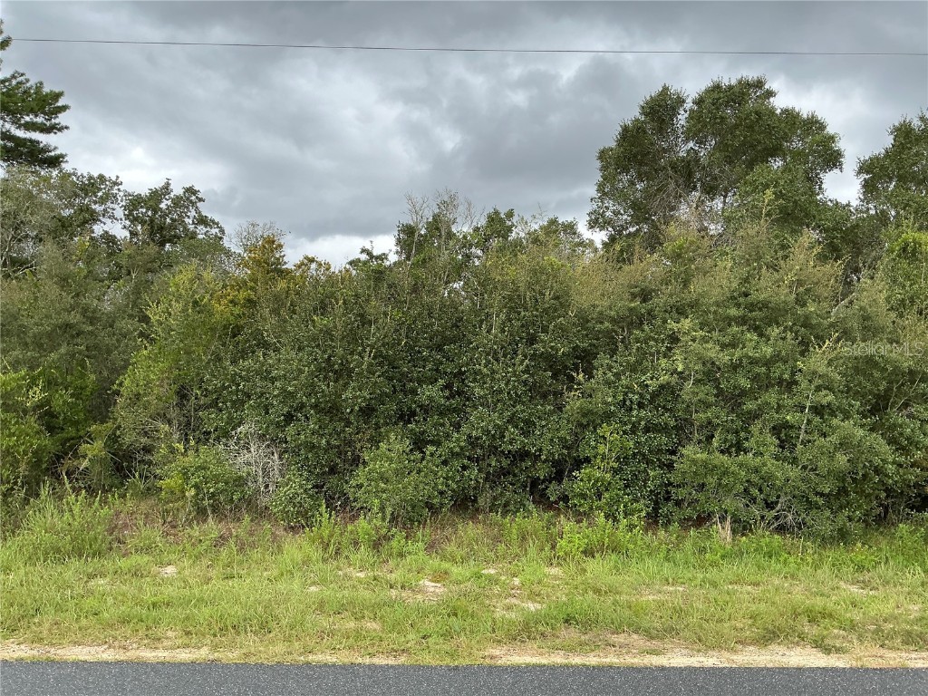 0 SW 110th Street Ocala FL 34476 OM710797 image1