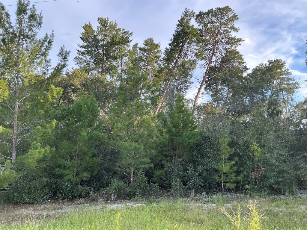 0 SW 112th Street Ocala FL 34476 OM712614 image1