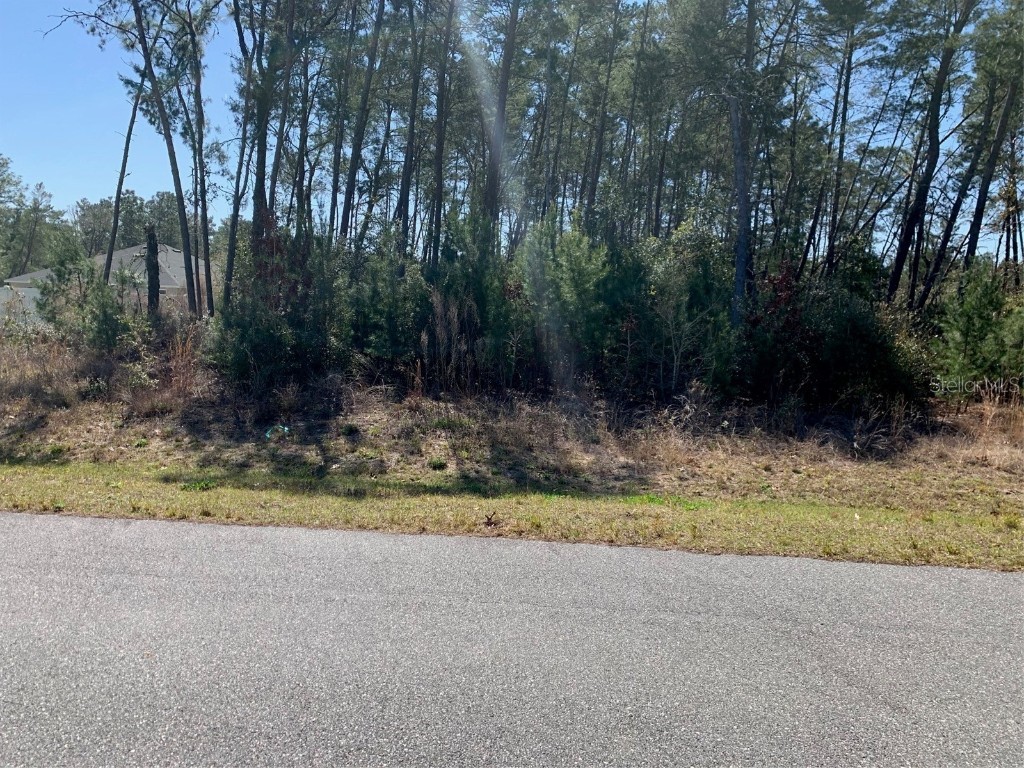 0 SW 113 Place Ocala FL 34476 OM673733 image1