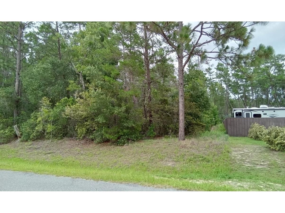 0 SW 113th Place #179 Ocala FL 34476 O6128785 image1