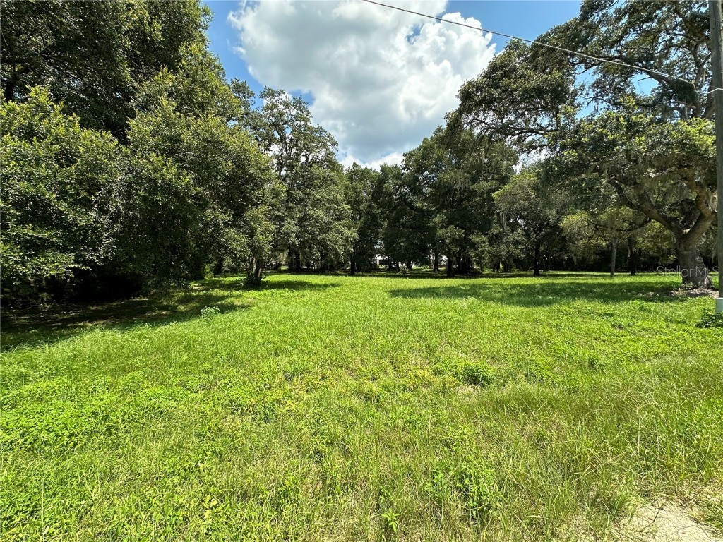 0 SW 114th Place Dunnellon FL 34432 OM684001 image1