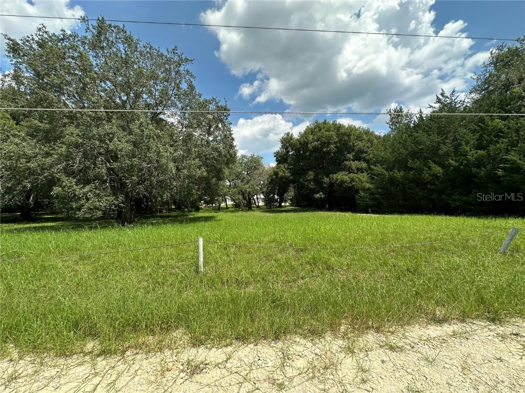 0 SW 114th Place Dunnellon FL 34432 OM684003 image1