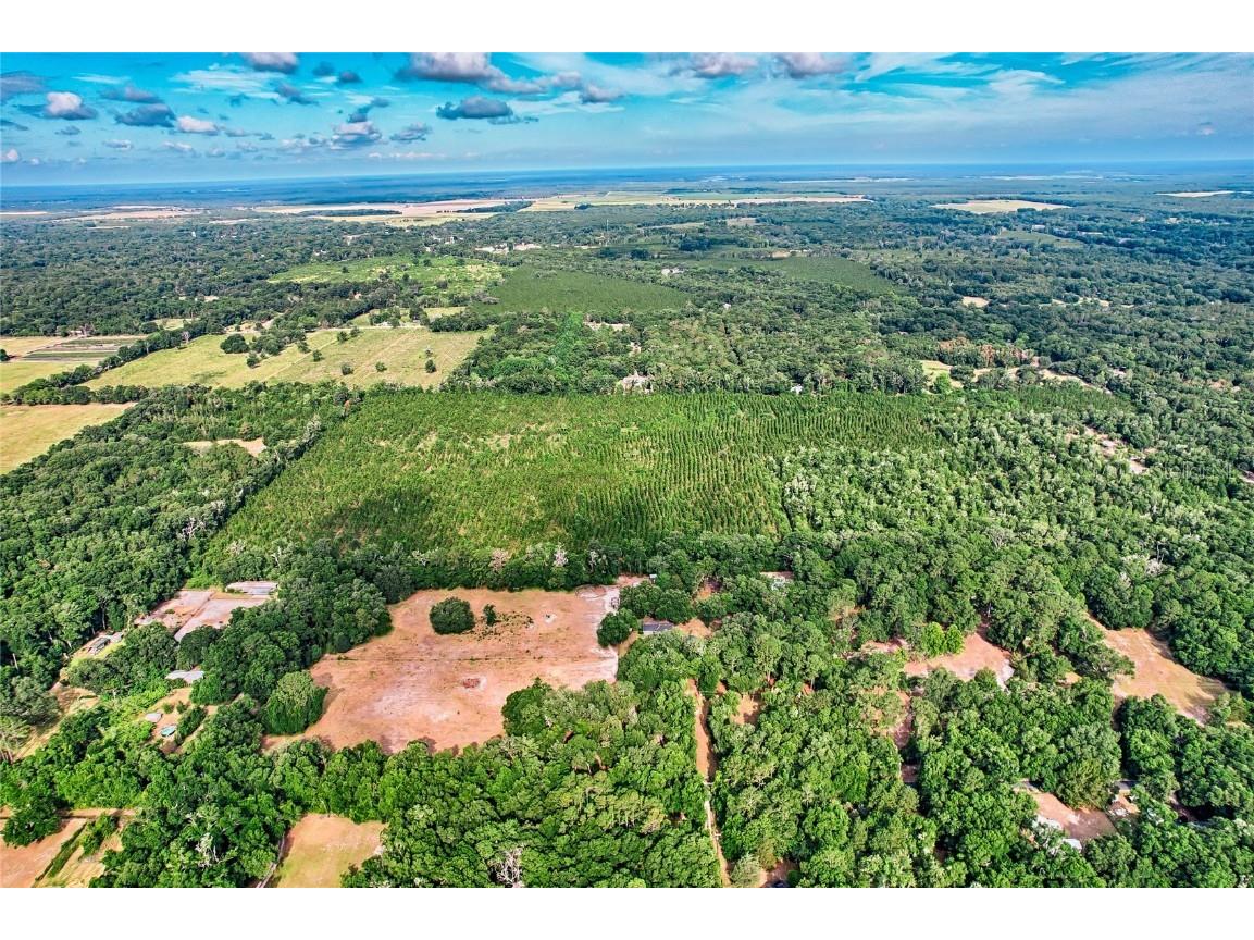 0 SW 120 Avenue Archer FL 32618 GC522813 image10