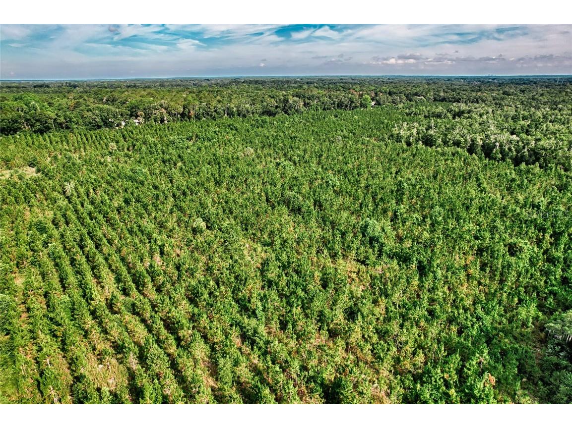 0 SW 120 Avenue Archer FL 32618 GC522813 image12