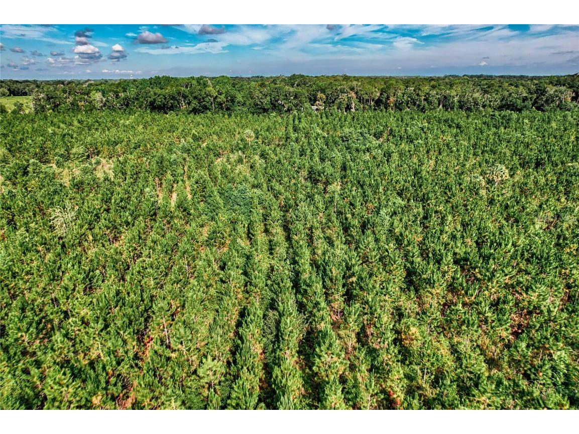 0 SW 120 Avenue Archer FL 32618 GC522813 image13