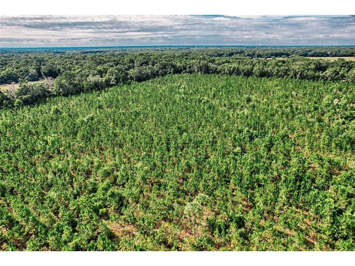 0 SW 120 Avenue Archer FL 32618 GC522813 image14