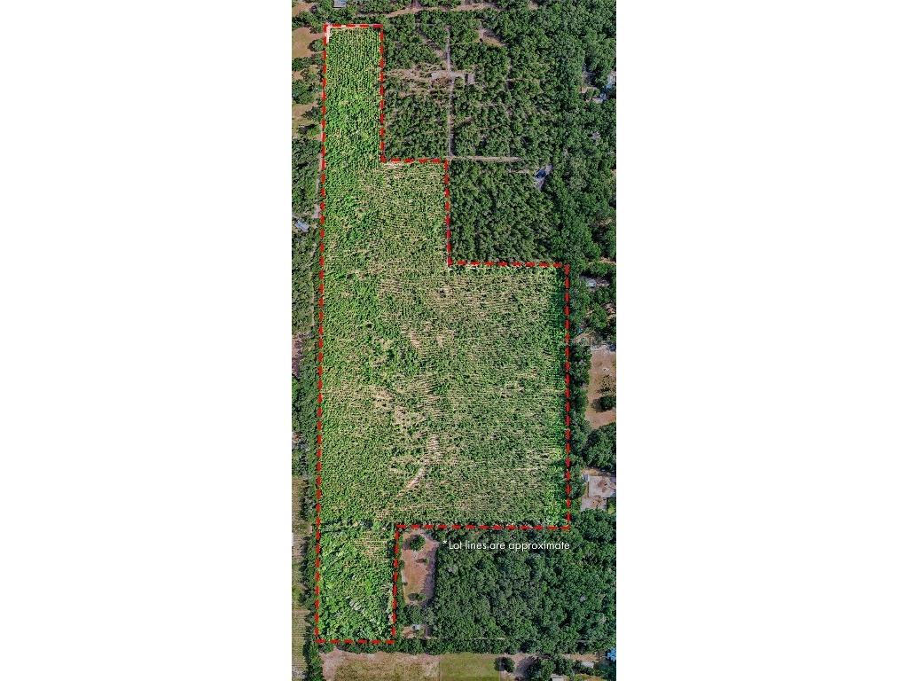 0 SW 120 Avenue Archer FL 32618 GC522813 image2