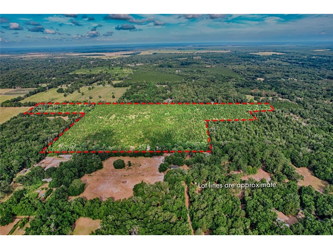 0 SW 120 Avenue Archer FL 32618 GC522813 image3