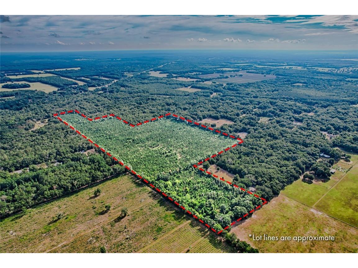 0 SW 120 Avenue Archer FL 32618 GC522813 image4