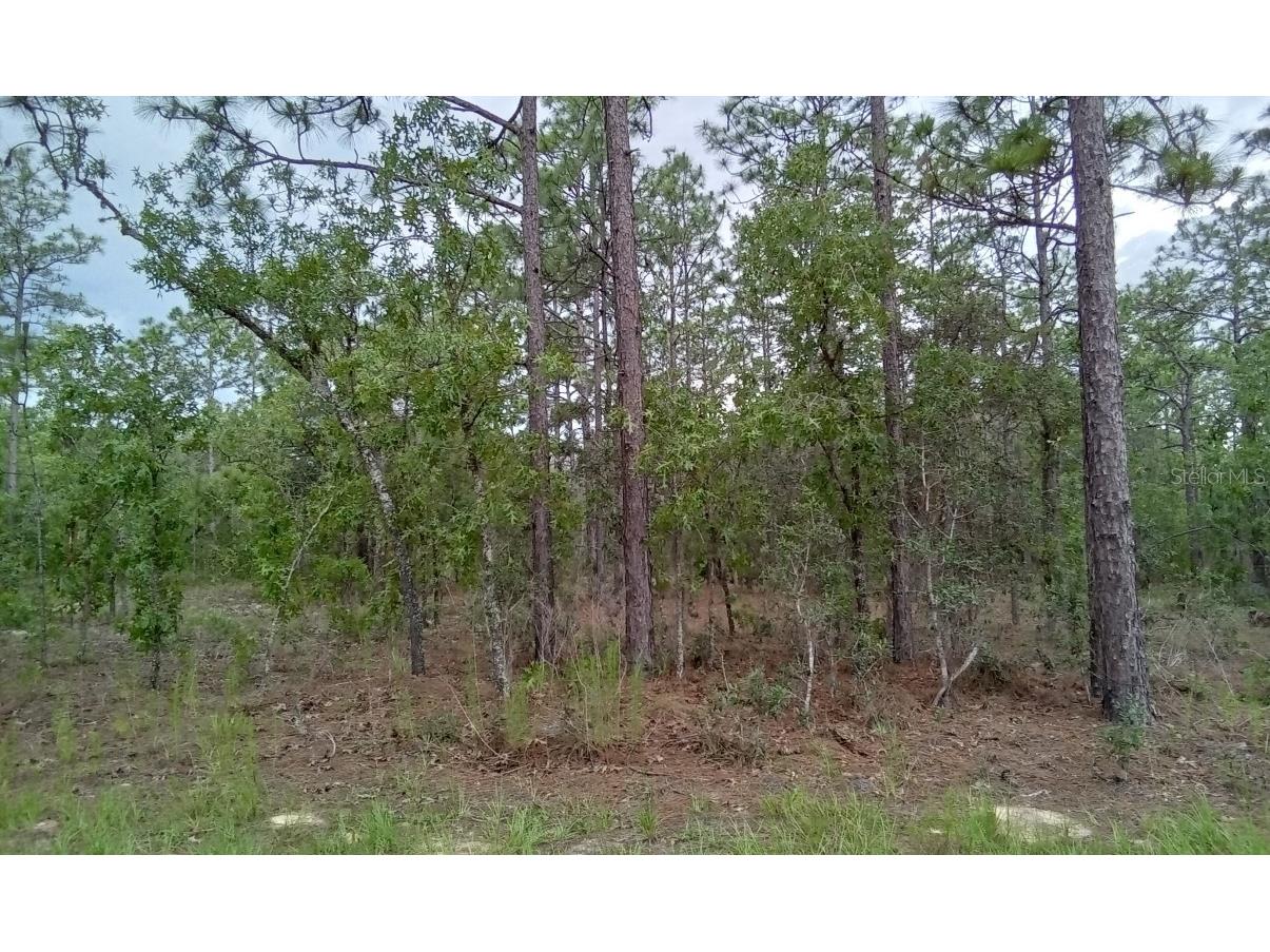 0 SW 123rd Ave Road Ocala FL 34481 O6120539 image1