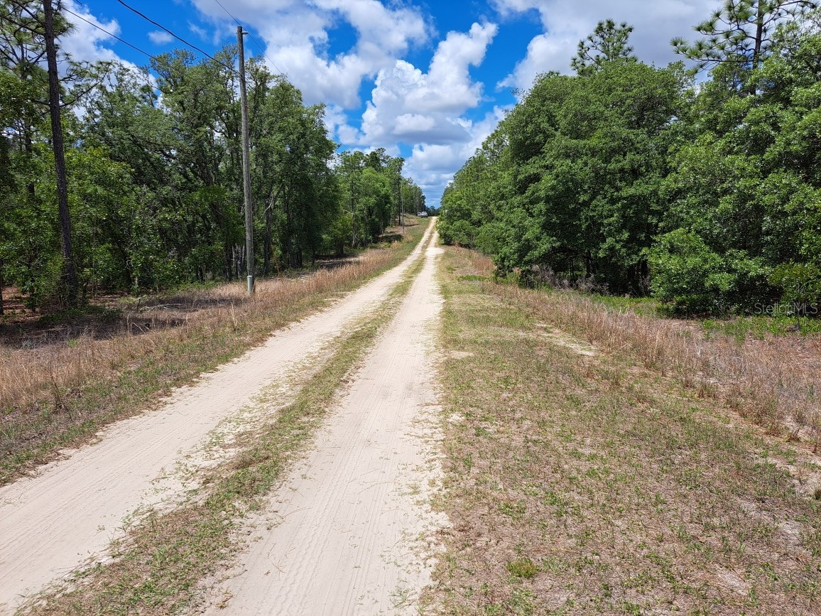 0 SW 125 Court Road Dunnellon FL 34432 OM723657 image4