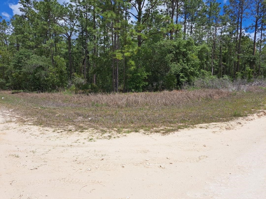 0 SW 125 Court Road Dunnellon FL 34432 OM723657 image5
