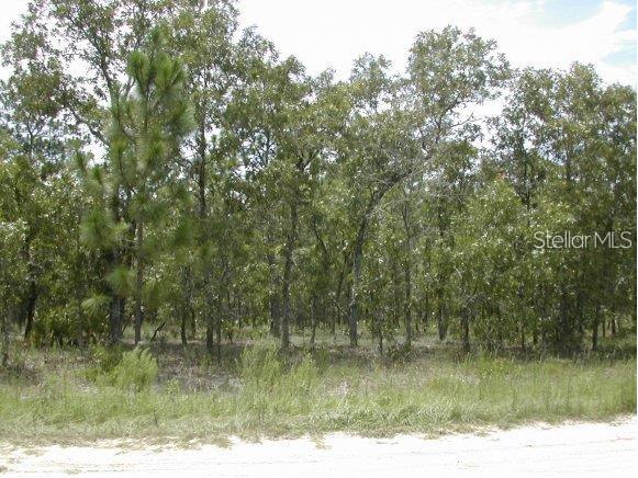 0 SW 125 Court Road Ocala FL 34481 V4939609 image1