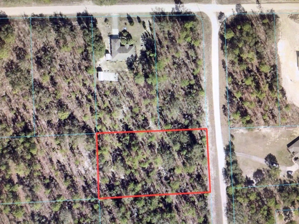 0 SW 125th Court Rd Dunnellon FL 34432 OM656079 image1