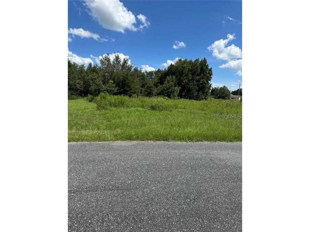 0 SW 128th Place Ocala FL 34473 OM683306 image1