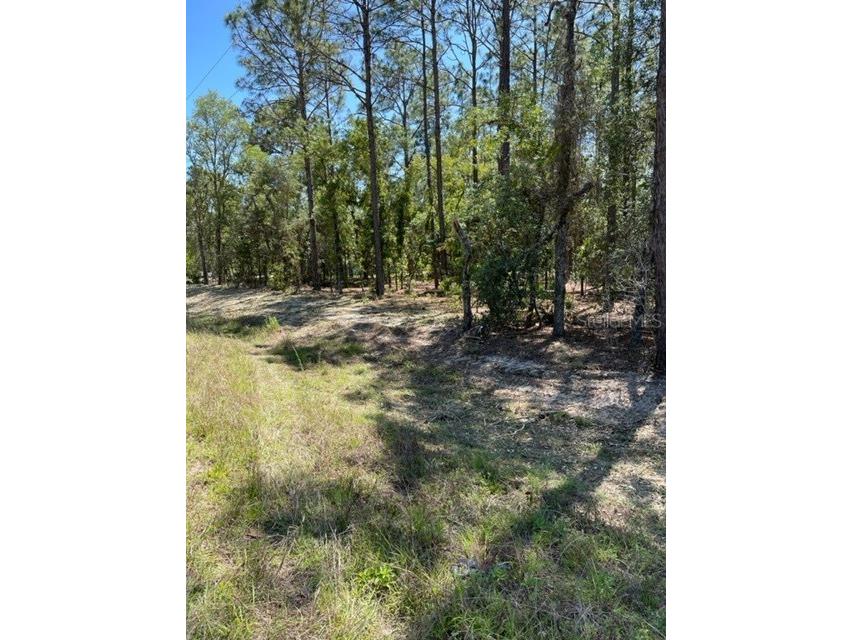 0 SW 128th Terr Dunnellon FL 34432 OM645303 image1