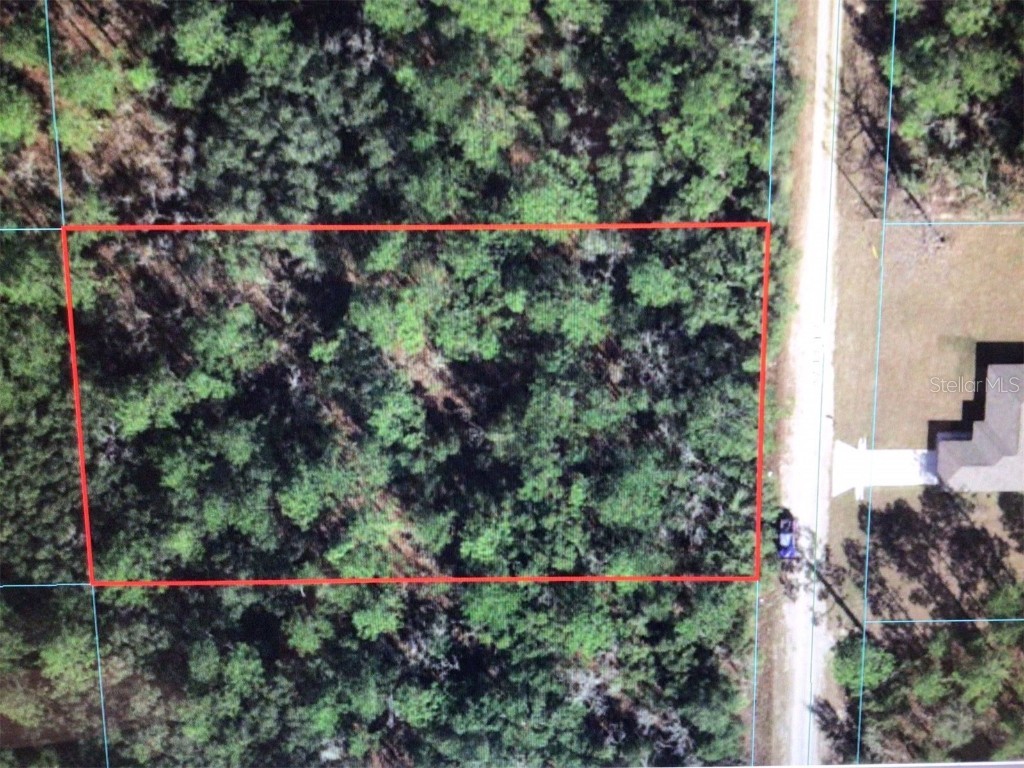 0 SW 128th Terrace Dunnellon FL 34432 OM674352 image1