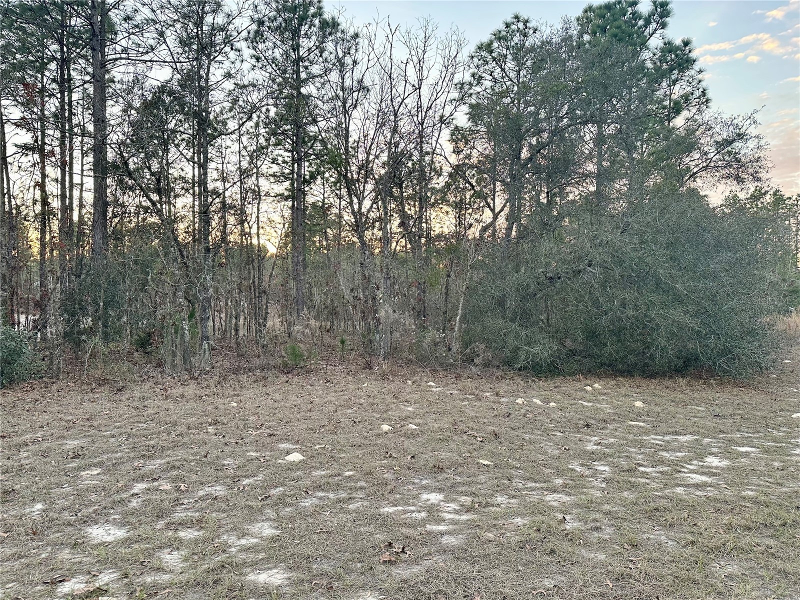0 Sw 129th Pl Ocala FL 34473 OM716209 image1